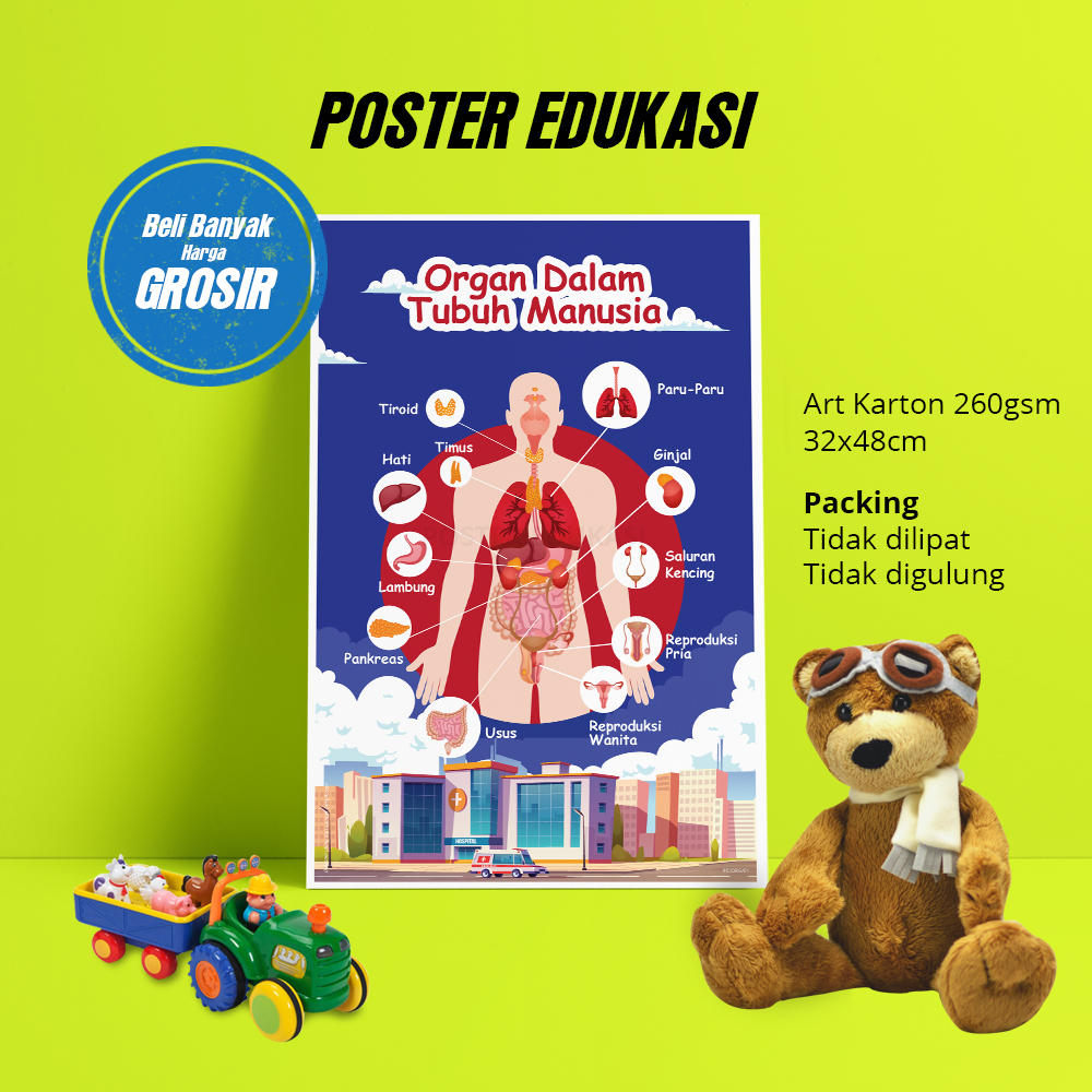 Poster Organ tubuh Poster Organ tubuh